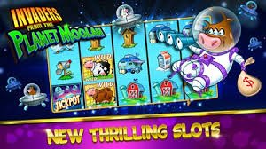 tajirqq bingo ruangan VIP premium hadiah jackpot besar